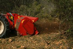 Mulcer forestier in actiune